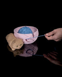 Cat Yarn Bowl & Hook