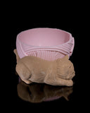 Cat Yarn Bowl & Hook