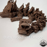 Baby Dragons-2