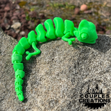 Land Articulated Animals Pals