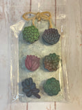 Wood Succulent magnets