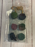 Wood Succulent magnets