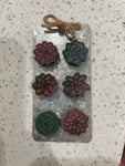 Wood Succulent magnets