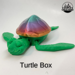 Turtle Box